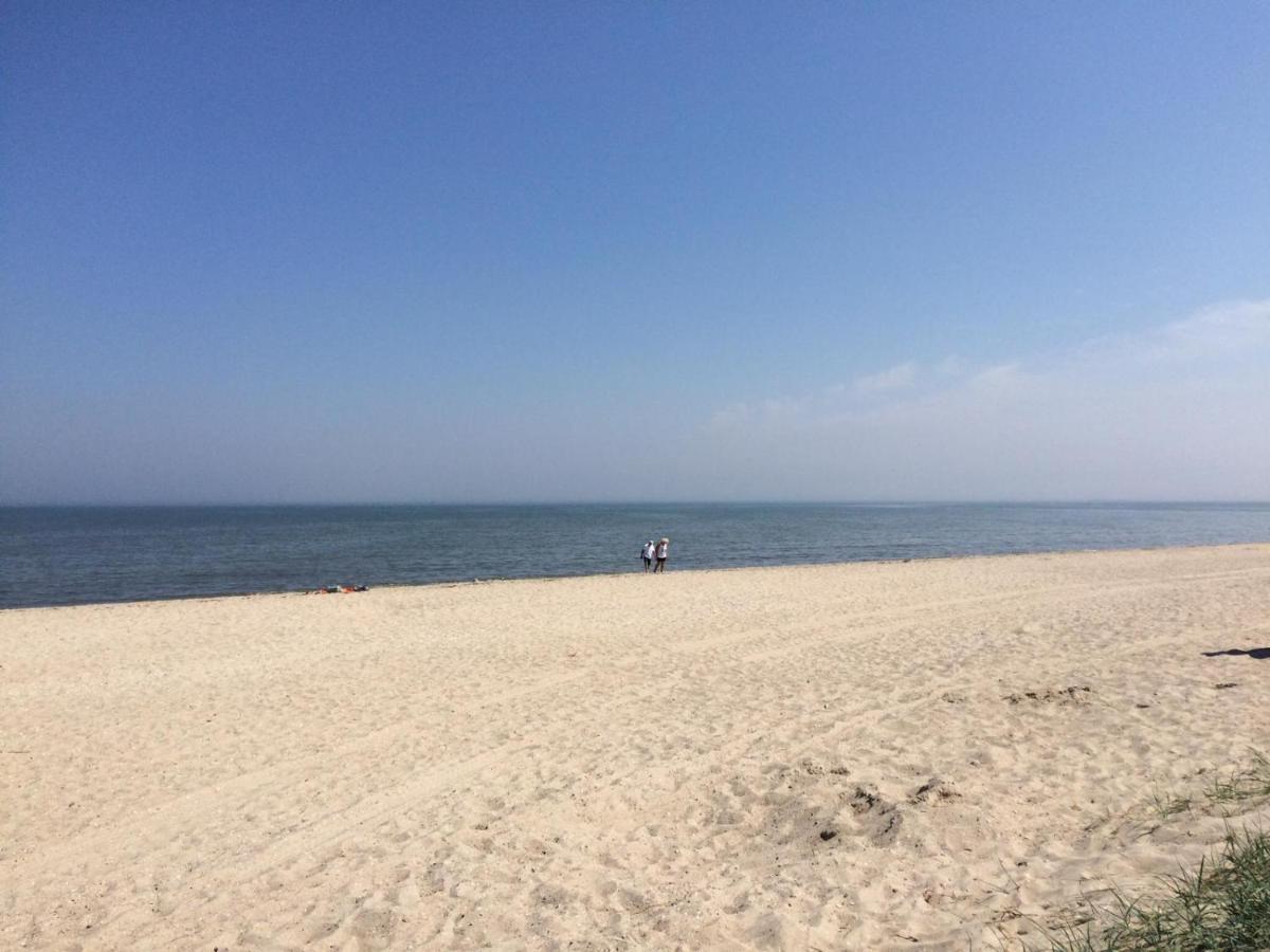 Strandgerste Schillig Eksteriør bilde